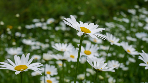 异世界后宫物语 异世界后宫物语